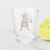 Shot Glass Side Eye Dog Meme Glas (Achterkant)