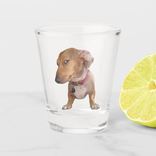 Shot Glass Side Eye Dog Meme Shot Glas (Voorkant)