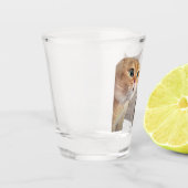 Shot Glass Talking Cats Meme Glas (Links)