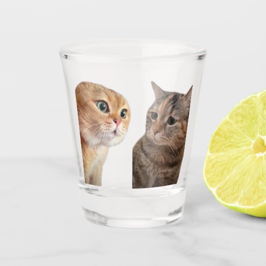 Shot Glass Talking Cats Meme Glas (Voorkant)