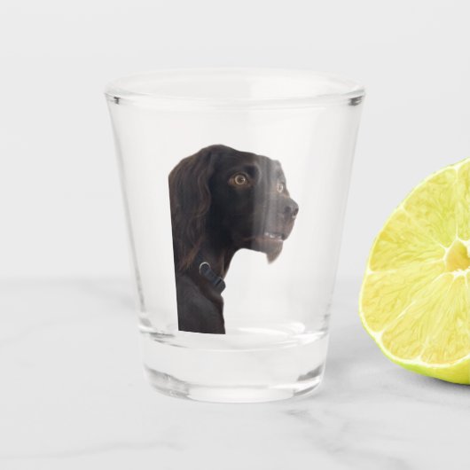 Shot Glass Verwarde Hond Meme Glas (Voorkant)