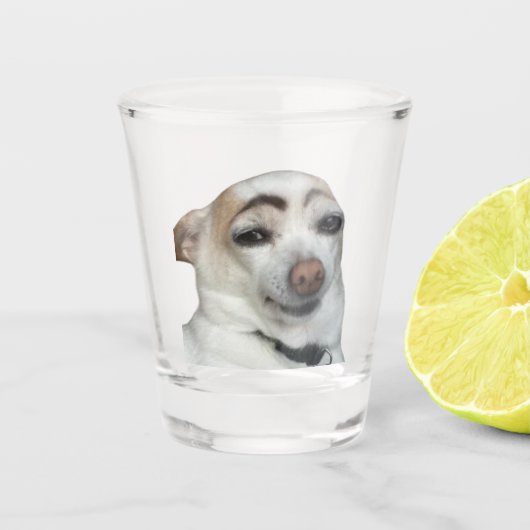 Shot Glass Wenkbrauw Hond Meme Glas (Voorkant)