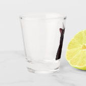 Shot Glass Zoned Out Cat Meme Glas (Links)