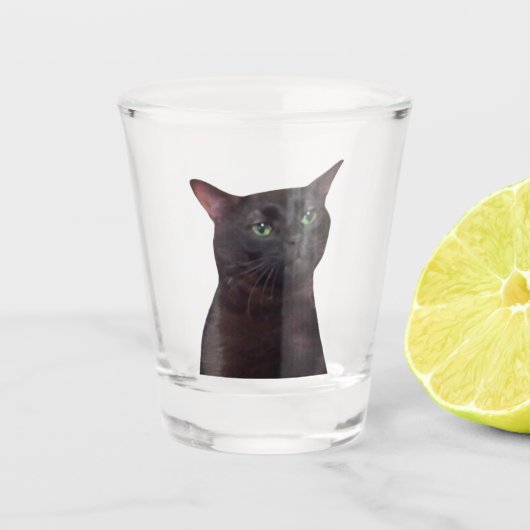 Shot Glass Zoned Out Cat Meme Glas (Voorkant)