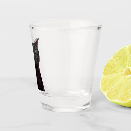 Shot Glass Zoned Out Cat Meme Shot Glas (Rechts)