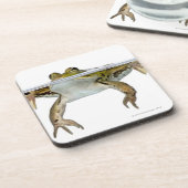 Shot of a Eetble frog surface voor a Bier Onderzetter (Linkerzijde)