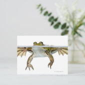 Shot of a Eetble frog surface voor a Briefkaart (Staand voorkant)