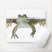 Shot of a Eetble frog surface voor a Muismat (Met muis)