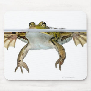 Shot of a Eetble frog surface voor a Muismat