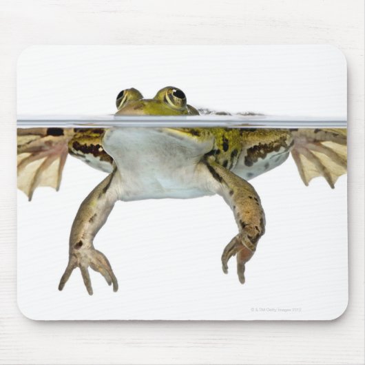Shot of a Eetble frog surface voor a Muismat (Voorkant)
