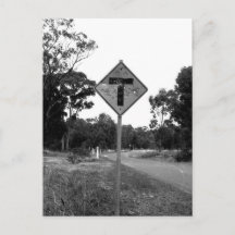 Shot T’ Pineerts roadside