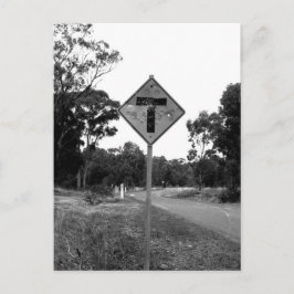 Shot T’ Pineerts roadside Briefkaart