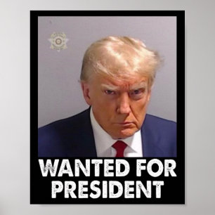 Shot Trump Funny gezocht voor President 2024 Poster