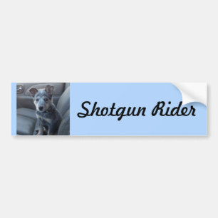 "Shotgun Rider" Blue Heeler Pup Bumpersticker