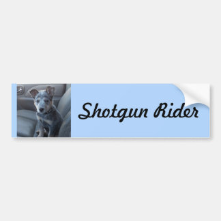 "Shotgun Rider" Blue Heeler Pup Bumpersticker