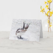 Shouting Penguin Kaart (Gele Bloem)