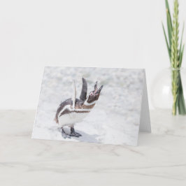 Shouting Penguin Kaart