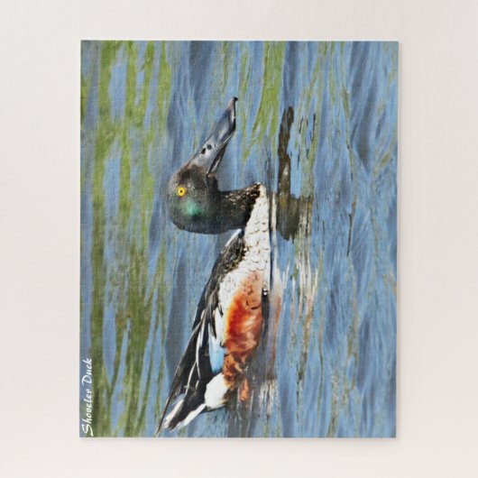 Shoveler Duck Legpuzzel (Verticaal)