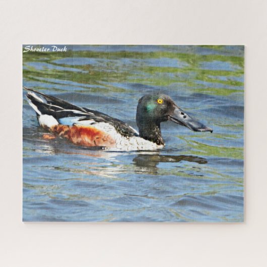 Shoveler Duck Legpuzzel (Horizontaal)