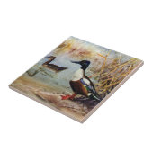 Shoveler Ducks illustratie Tegeltje (Zijkant)