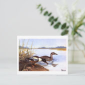  Shoveler Ducks van R E Todhunter gesigneerd Briefkaart (Staand voorkant)