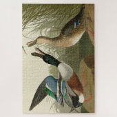 Shoveller Duck - van Audubon's Birds of America Legpuzzel (Verticaal)