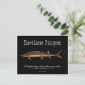 Shovelnose Sturgeon-Black-Briefkaart Briefkaart (Staand voorkant)