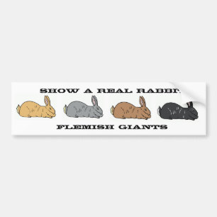 Show A Real Rabbit Vlaams Giant Bumpersticker