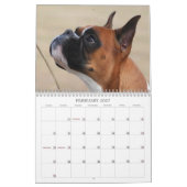 show Boxer-agenda 2013 Kalender (Feb 2027)