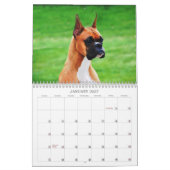 show Boxer-agenda 2013 Kalender (Jan 2027)