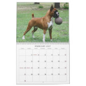show Boxer-agenda 2013 Kalender (Feb 2027)