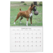 show Boxer-agenda 2013 Kalender (Feb 2026)