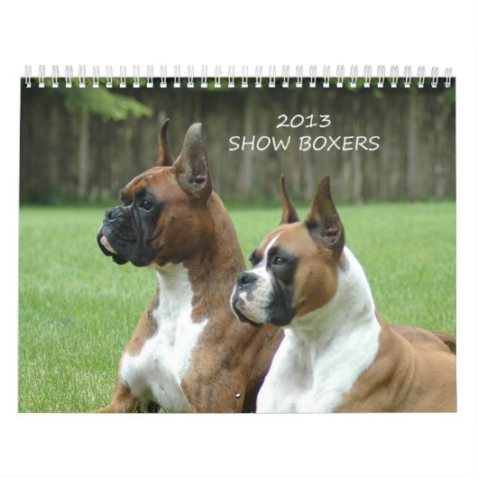 show Boxer-agenda 2013 Kalender (Hoes)