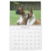 show Boxer-agenda 2013 Kalender (Jan 2026)