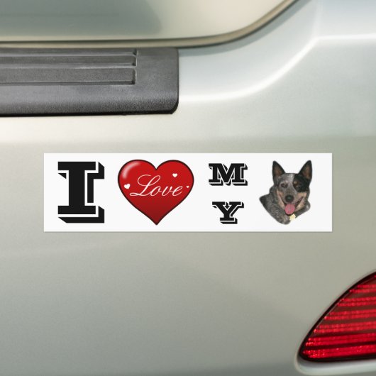 Show je trots bumpersticker (Op auto)