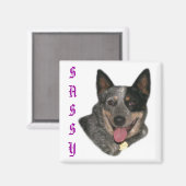 Show je trots magneet (Voorkant / Achterkant)