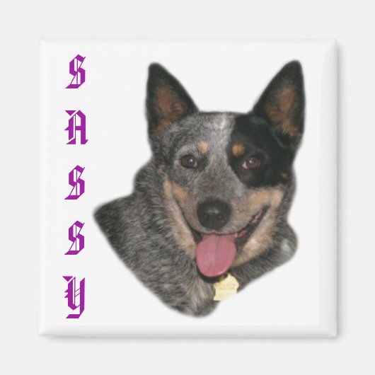 Show je trots magneet (Voorkant)