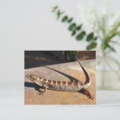 Show Low Arizona King's Place Alligator Lizard? Briefkaart (Staand voorkant)