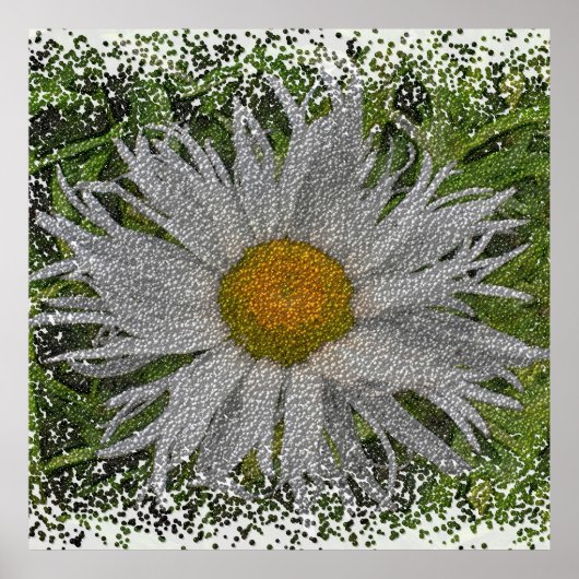 Show Me A Daisy #1 Poster (Voorkant)