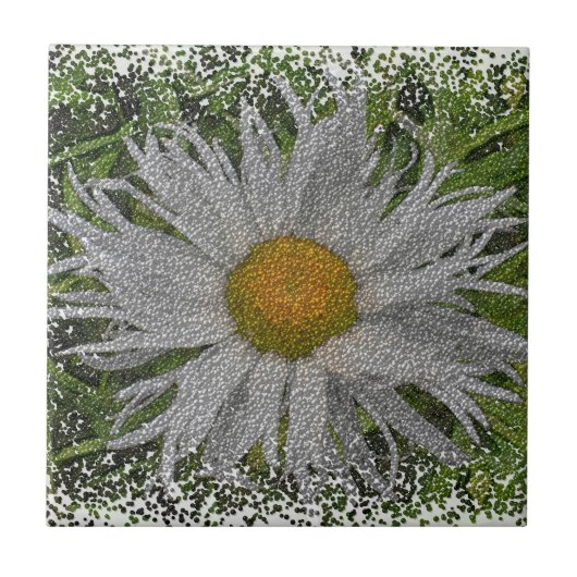 Show Me A Daisy #1 Tegeltje (Voorkant)