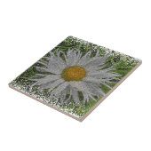 Show Me A Daisy #1 Tegeltje (Zijkant)