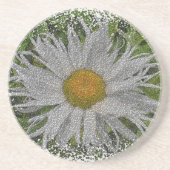 Show Me A Daisy #1 Zandsteen Onderzetter (Voorkant)