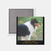 Show me een collie... magneet (Voorkant / Achterkant)
