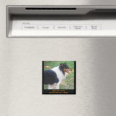 Show me een collie... magneet (Insitu (Vaatwasser))