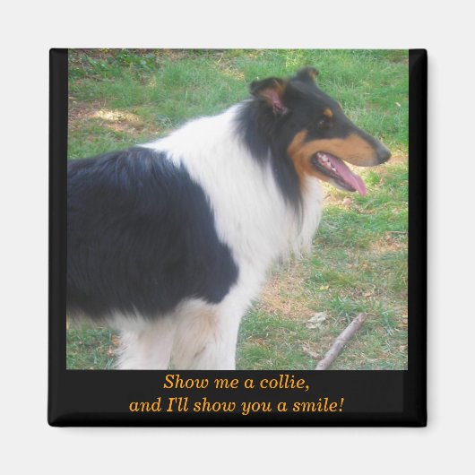 Show me een collie... magneet (Voorkant)
