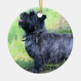 Show meisje keramisch ornament