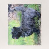 Show meisje legpuzzel (Verticaal)