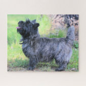 Show meisje legpuzzel (Horizontaal)