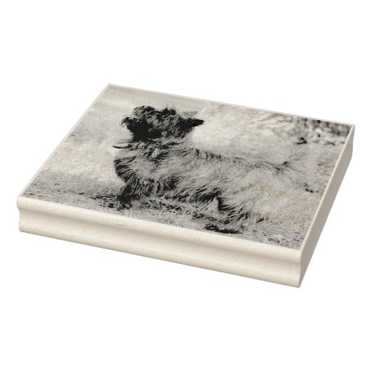 Show meisje rubberstempel (Stempel)