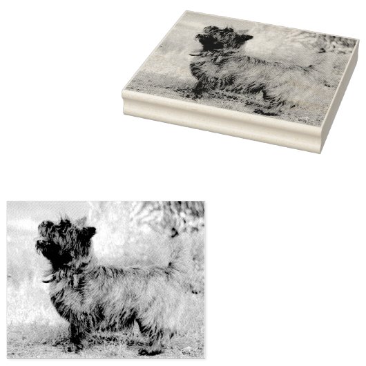 Show meisje rubberstempel (Gestempeld)